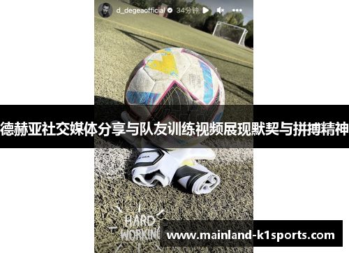德赫亚社交媒体分享与队友训练视频展现默契与拼搏精神