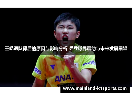 王皓退队背后的原因与影响分析 乒乓球界震动与未来发展展望