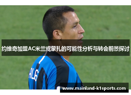 约维奇加盟AC米兰或蒙扎的可能性分析与转会前景探讨