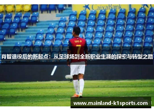 肖智退役后的新起点：从足球场到全新职业生涯的探索与转型之路